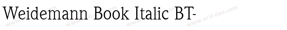 Weidemann Book Italic BT字体转换